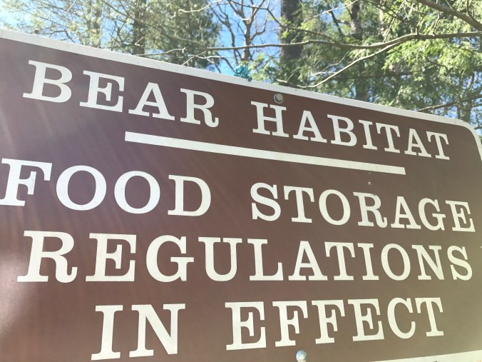 File Mar 31, 9 03 44 AM