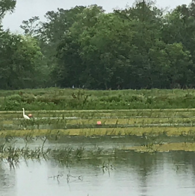 File Apr 02, 9 32 46 PM