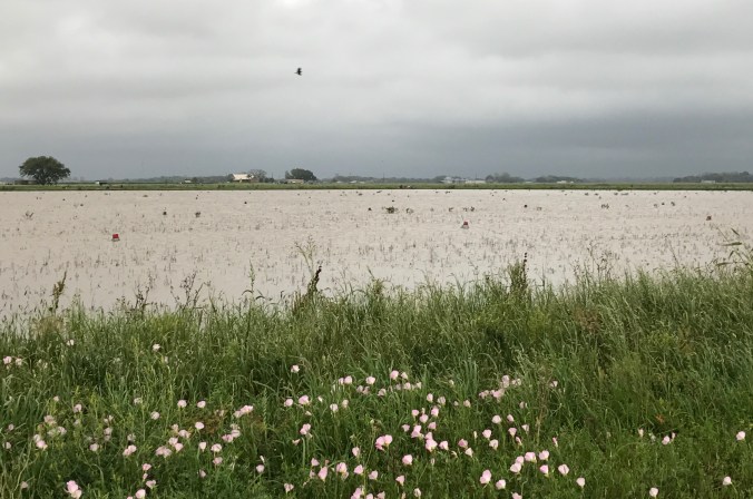 File Apr 09, 12 41 52 PM