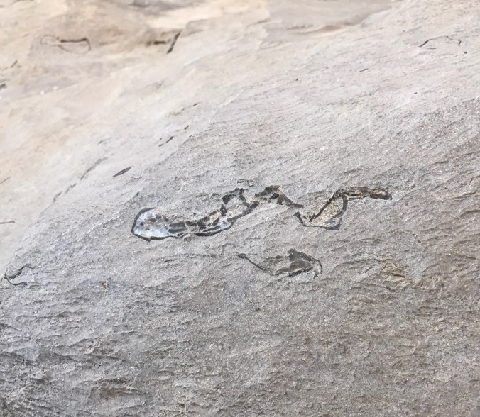 File Apr 16, 5 07 32 PM