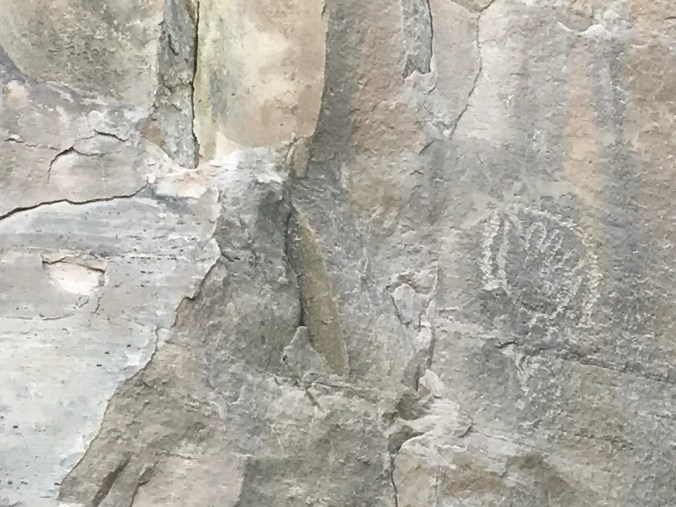 File May 09, 5 01 53 PM