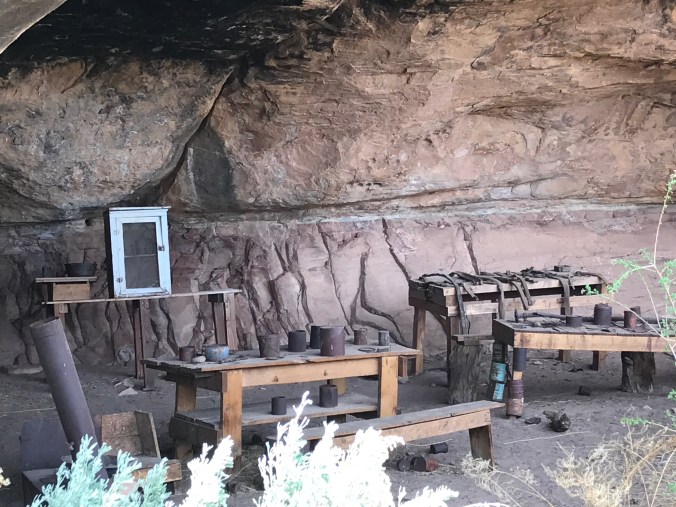 File May 09, 9 52 32 PM