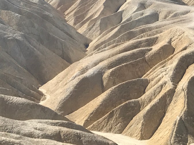 Photo Apr 30, 8 43 36 AM