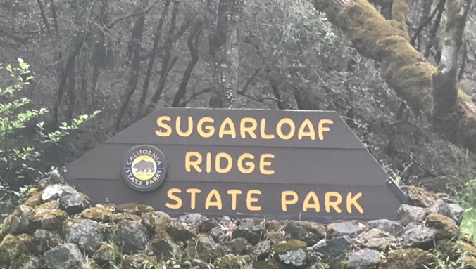 File Jun 02, 10 51 12 PM