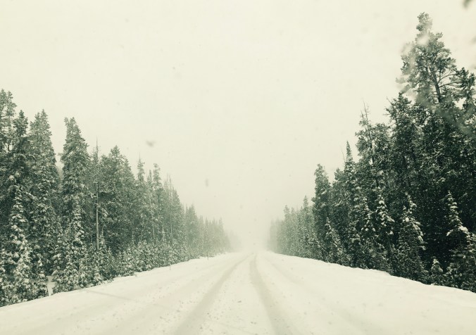 File Jun 11, 7 54 34 PM