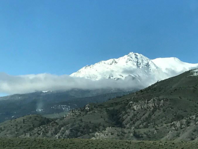 File Jun 11, 7 57 10 PM (1)