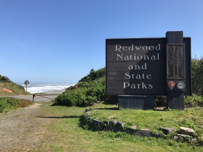 File Jun 11, 8 08 09 AM