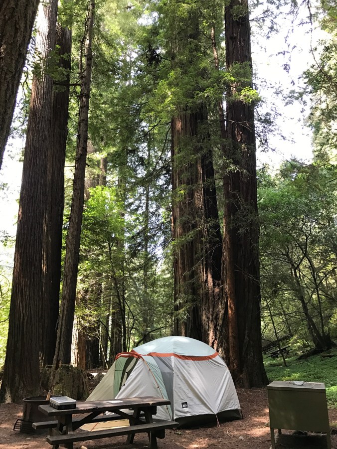 File Jun 11, 8 09 22 AM