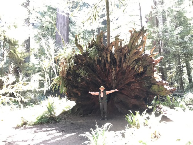 File Jun 11, 8 10 48 AM