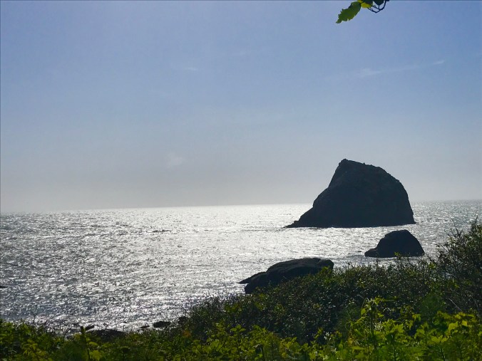 File Jun 11, 8 24 44 AM