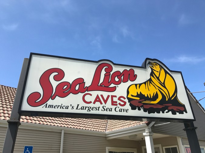 File Jun 11, 8 28 36 AM (1)