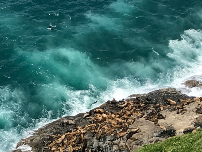 File Jun 11, 8 29 40 AM