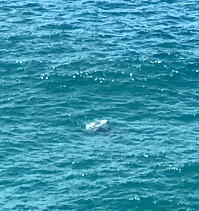 File Jun 11, 8 30 29 AM