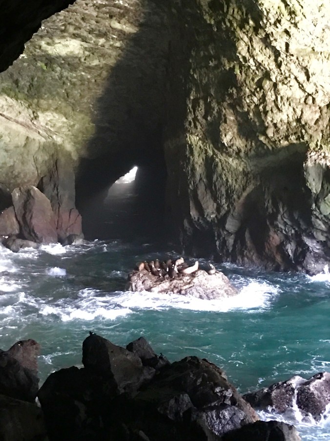 File Jun 11, 8 54 39 AM (1)