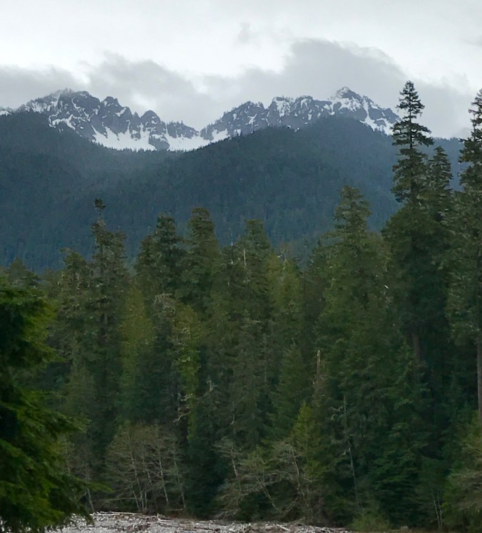 File Jun 11, 8 57 56 AM