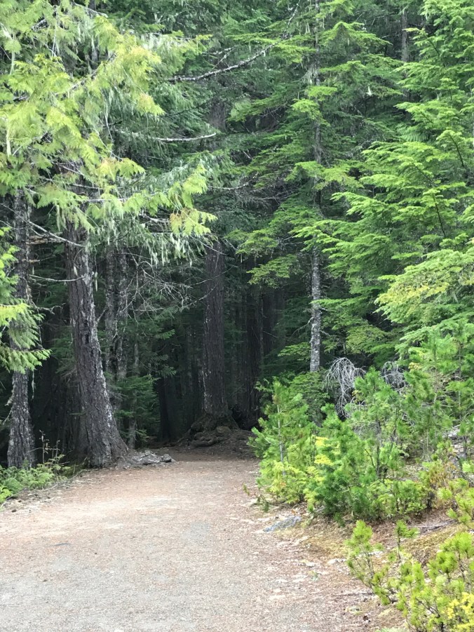 File Jun 11, 8 59 02 AM