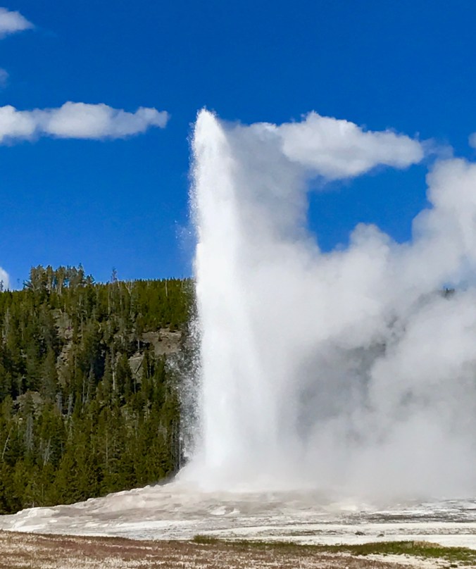 File Jun 11, 9 05 35 PM