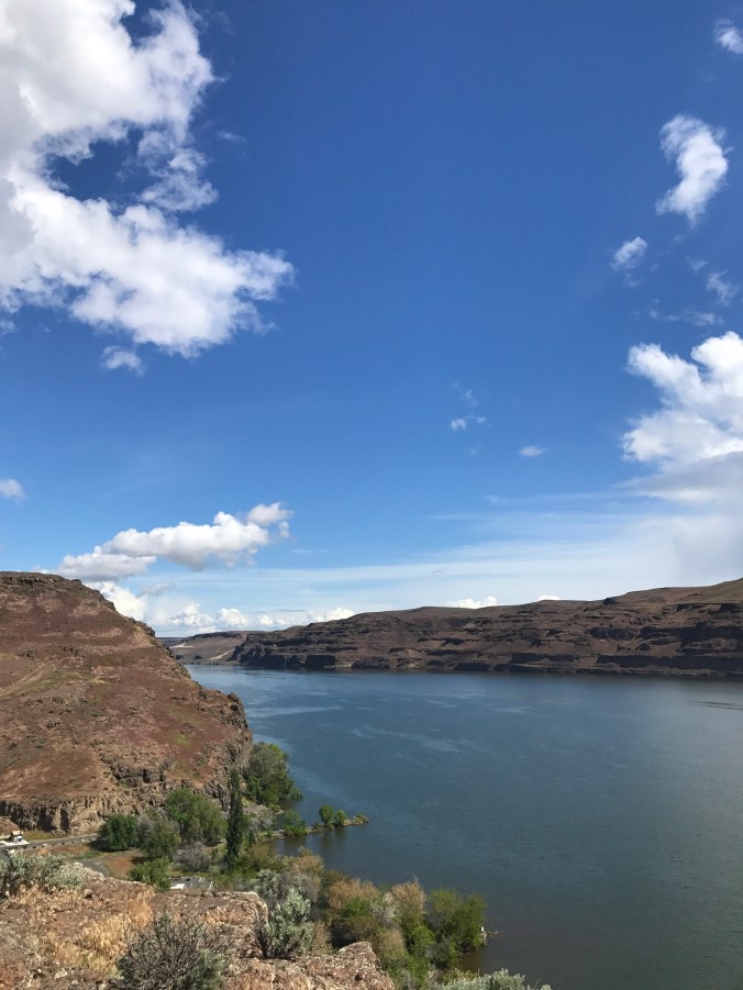 File Jun 11, 9 11 33 AM