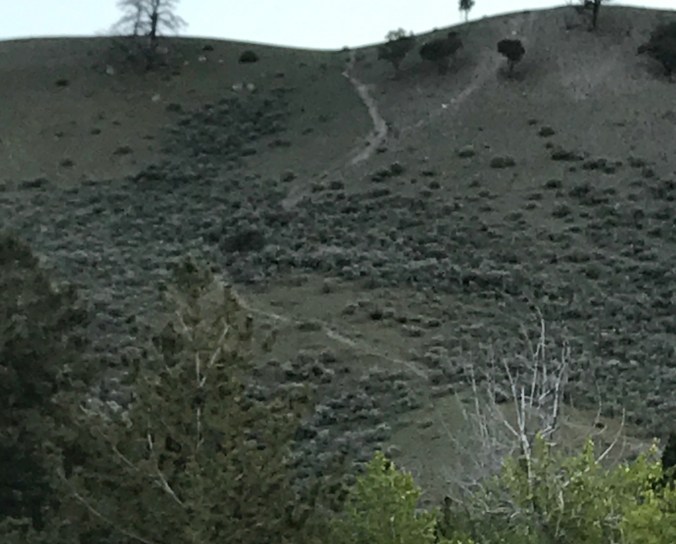 File Jun 11, 9 28 31 PM