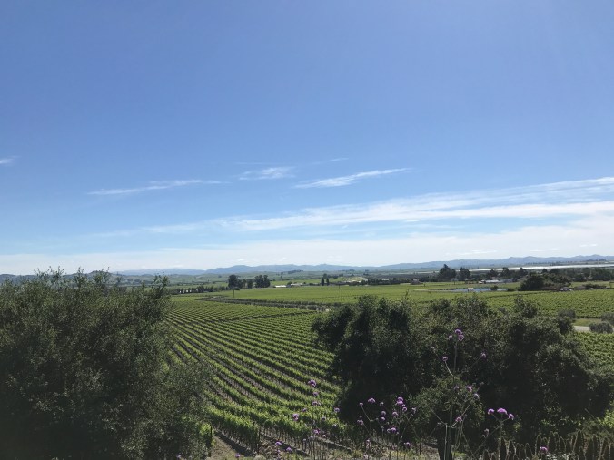 Photo May 05, 12 24 39 PM