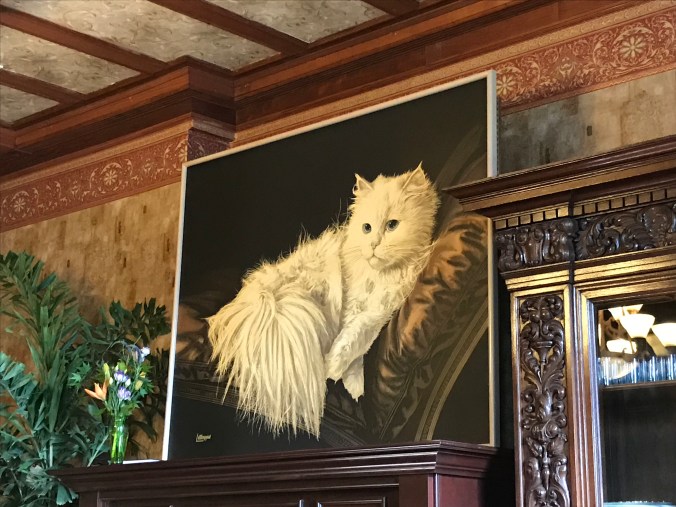 Photo May 07, 10 55 23 AM