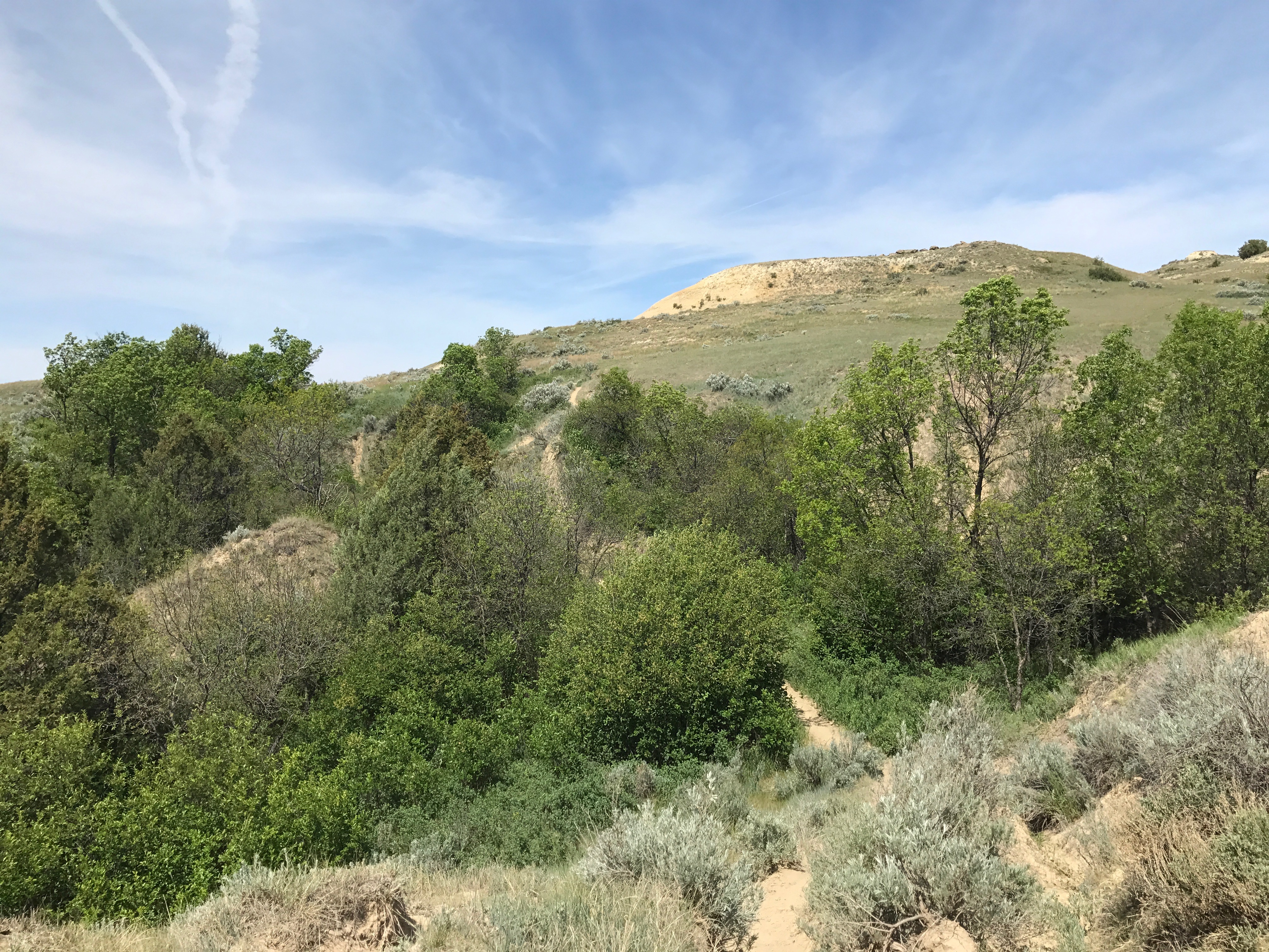 File Jul 24, 12 24 26 PM