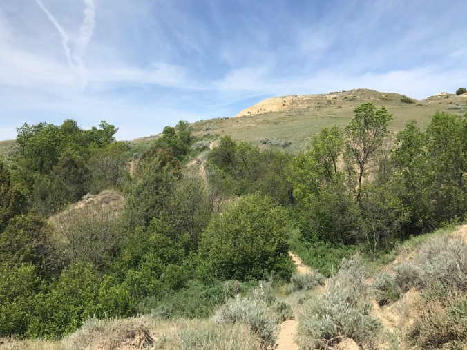 File Jul 24, 12 24 26 PM