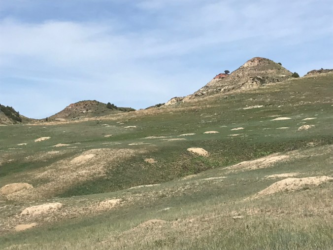 File Jul 24, 12 25 00 PM