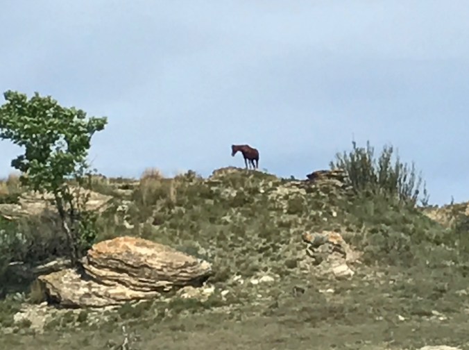 File Jul 24, 12 25 26 PM