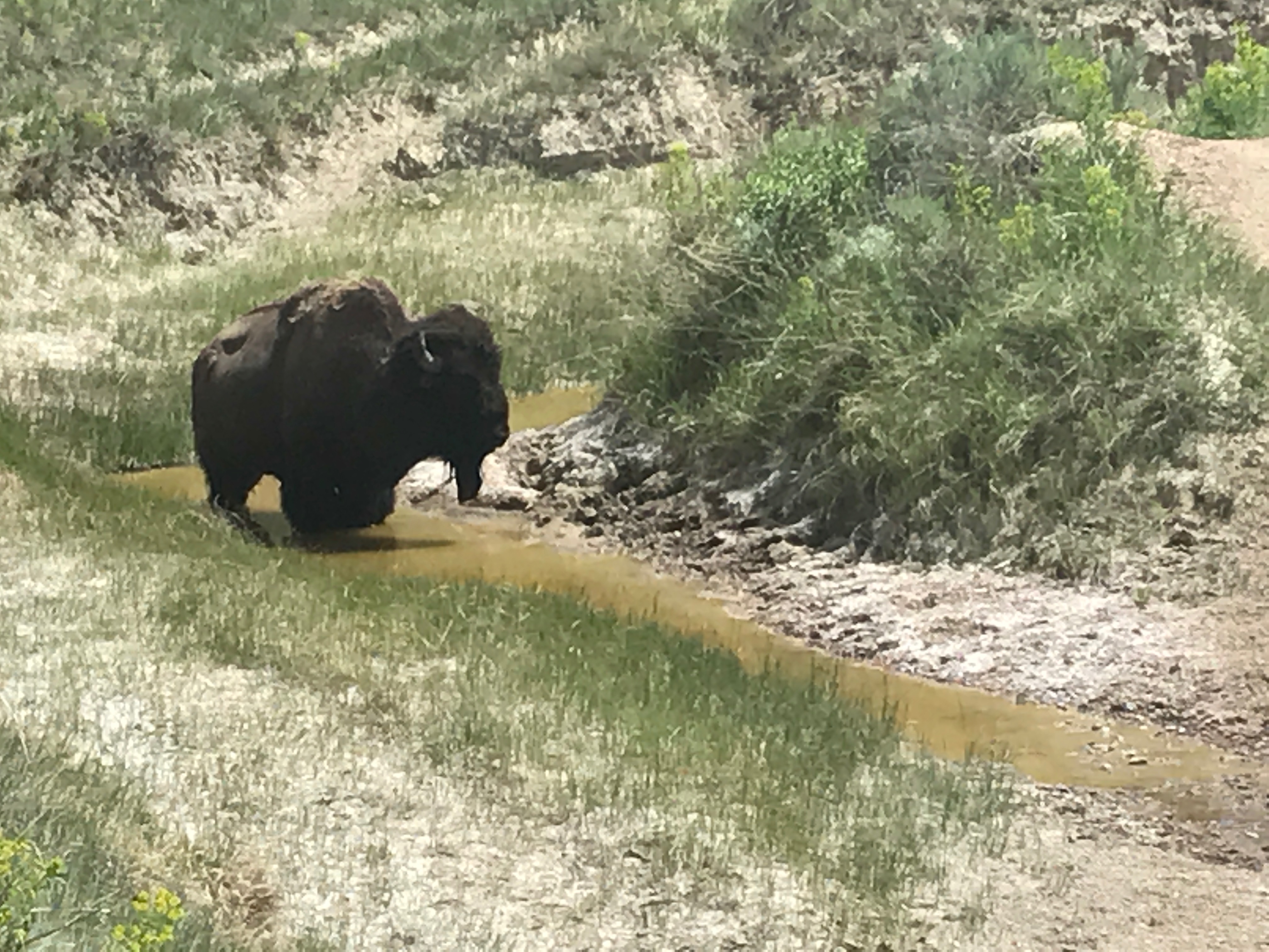 File Jul 24, 12 25 43 PM