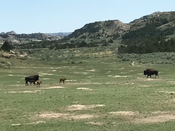 File Jul 24, 12 26 17 PM