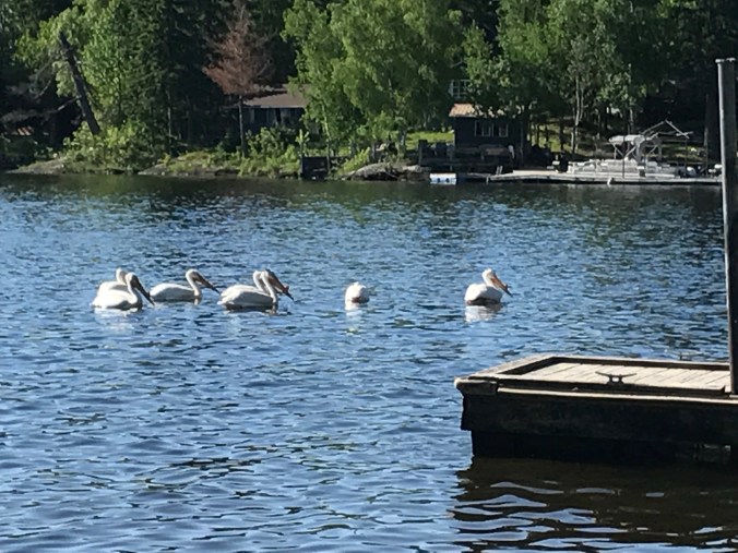 File Jul 25, 1 10 52 PM