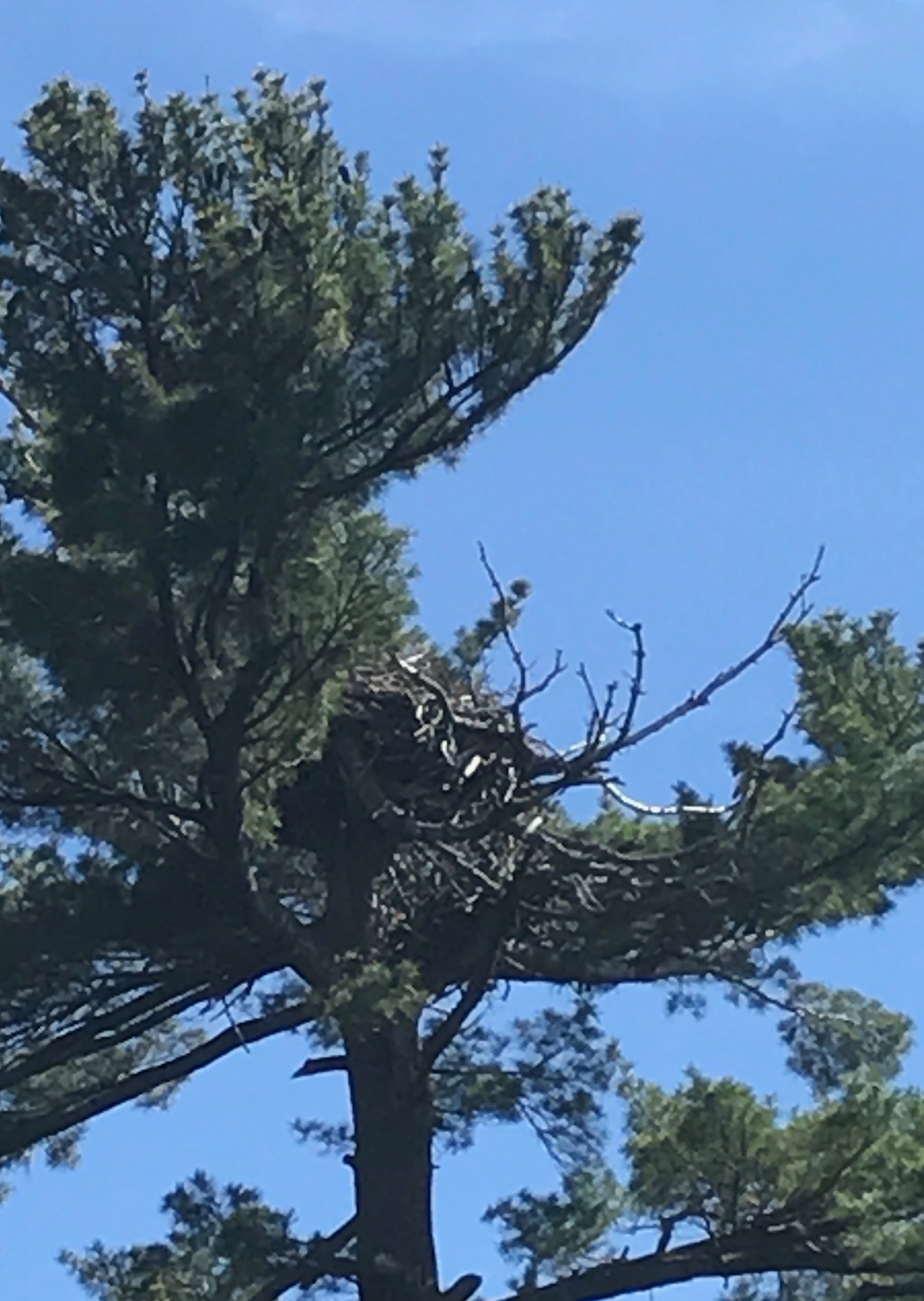 File Jul 25, 6 39 19 PM