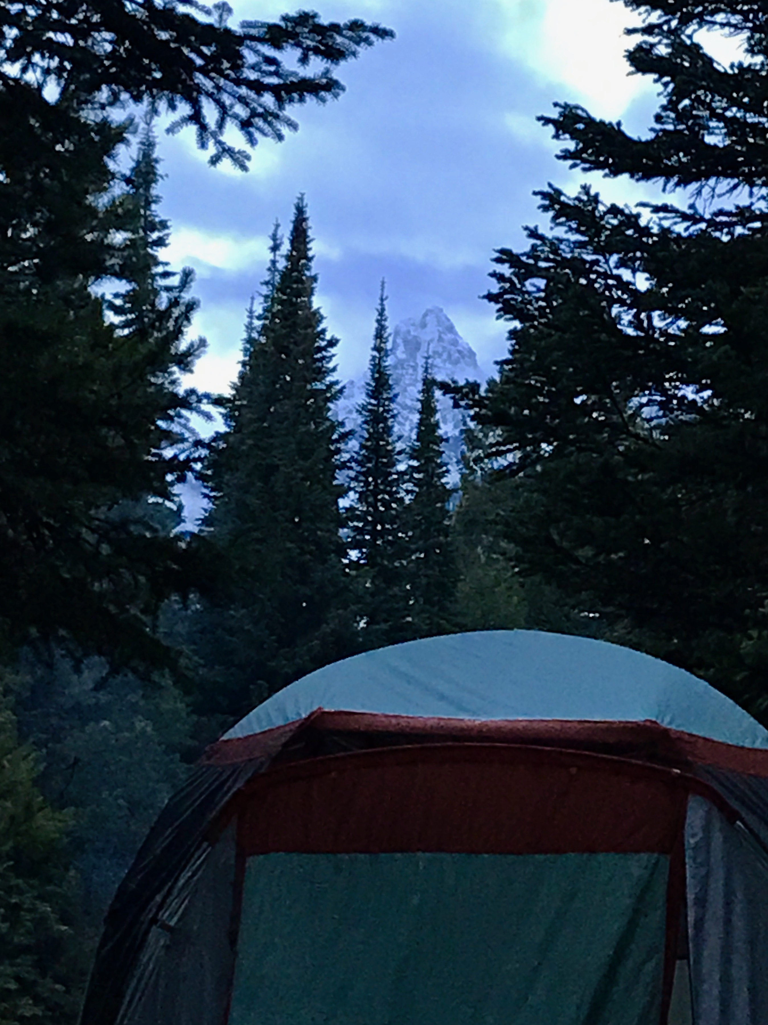 File Jun 11, 10 02 31 PM