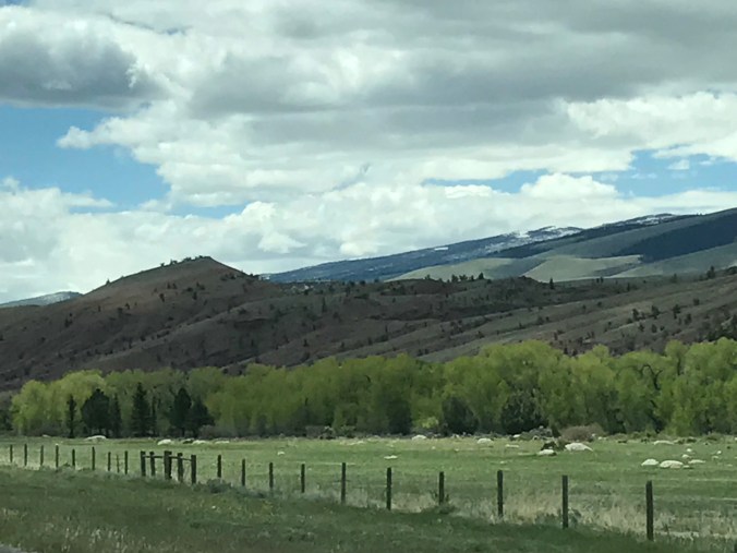 File Jun 11, 10 05 07 PM