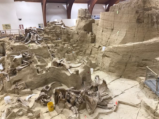 File Jun 11, 10 12 15 PM