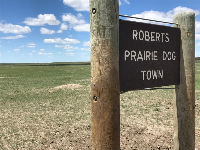 File Jun 11, 10 25 53 PM