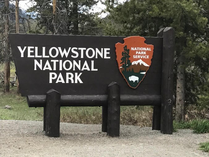 File Jun 11, 9 15 51 PM