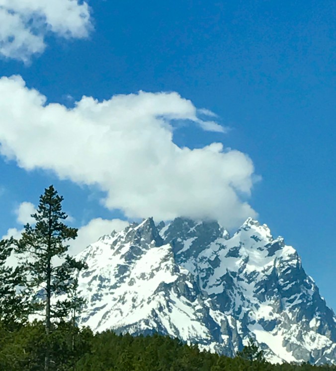 File Jun 11, 9 31 49 PM