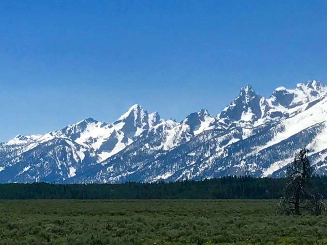 File Jun 11, 9 34 02 PM