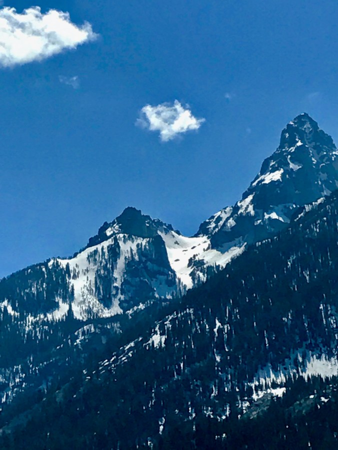 File Jun 11, 9 41 07 PM