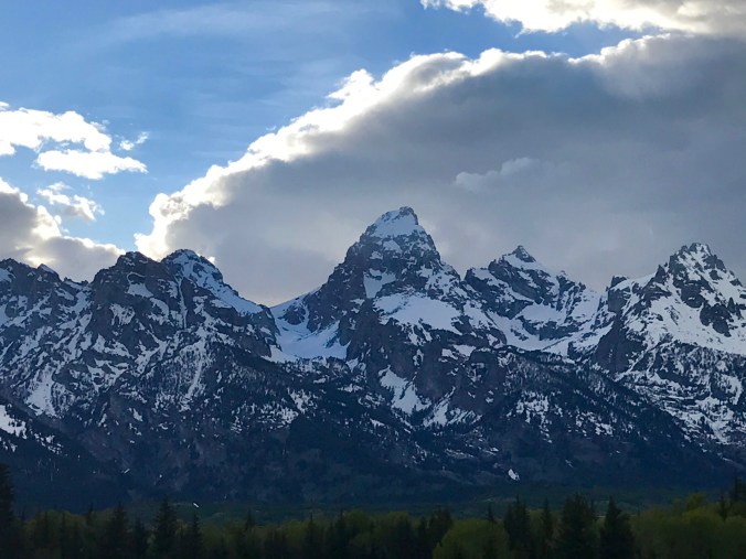 File Jun 11, 9 53 02 PM