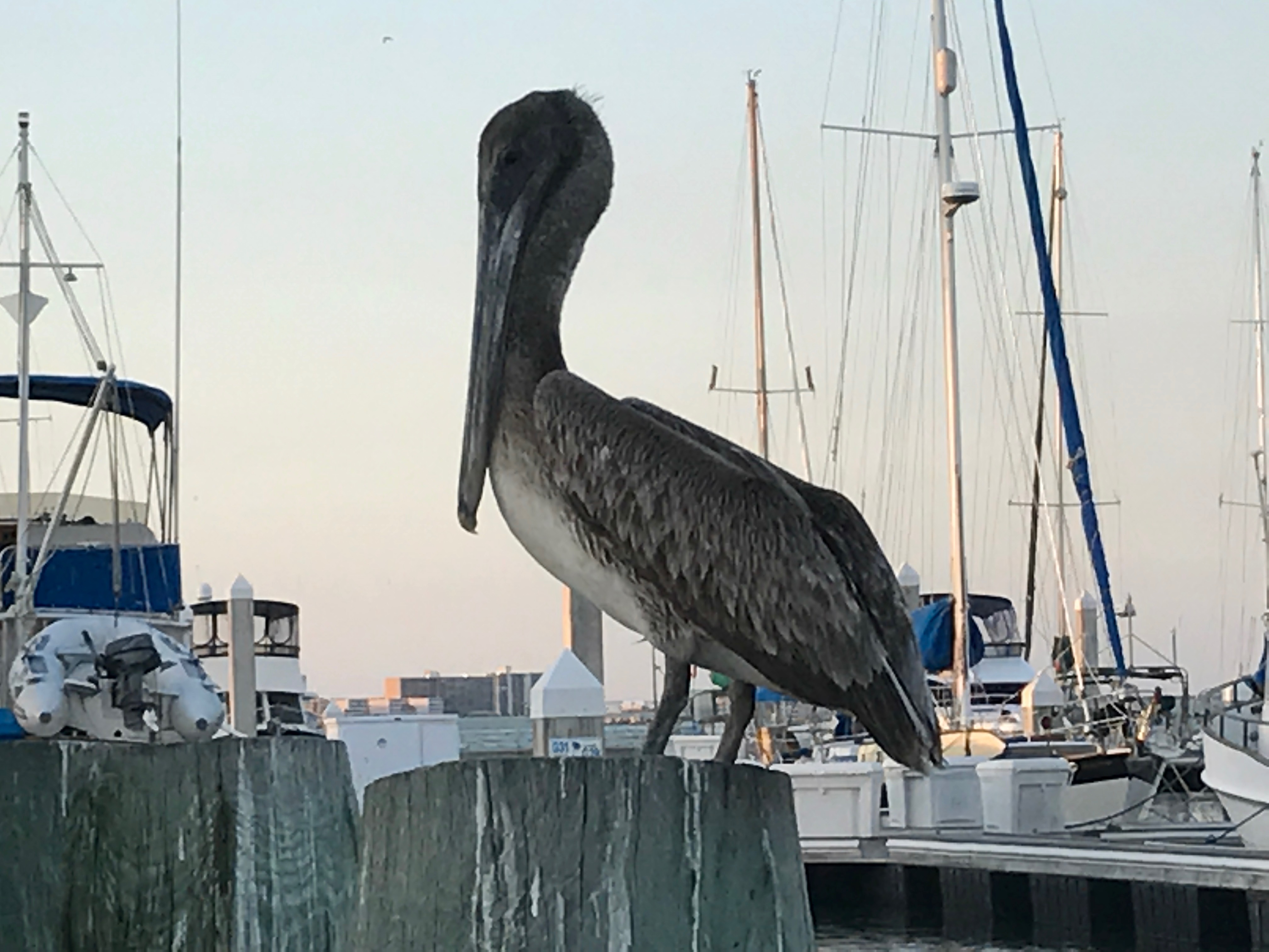 File Apr 09, 1 27 31 PM