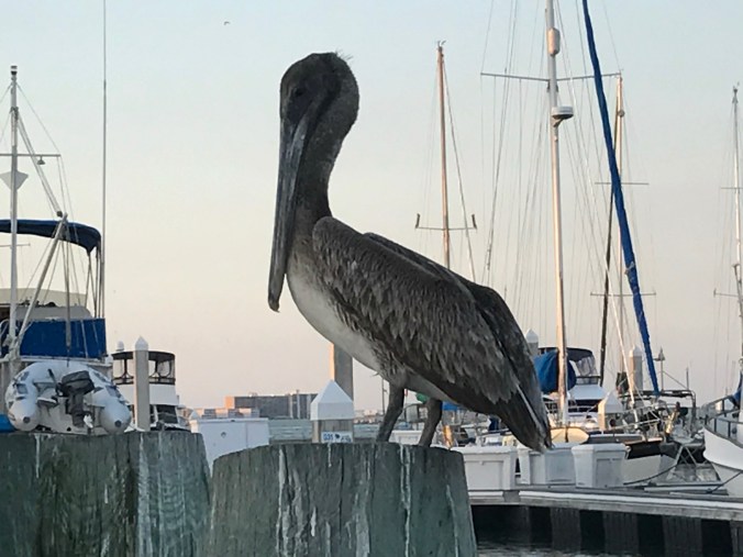 File Apr 09, 1 27 31 PM