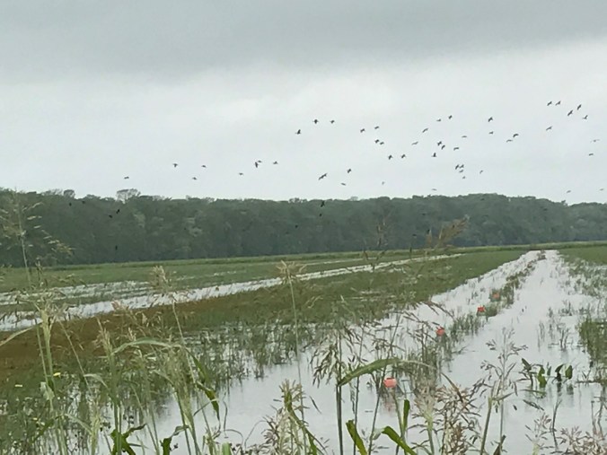 File Apr 09, 12 42 55 PM