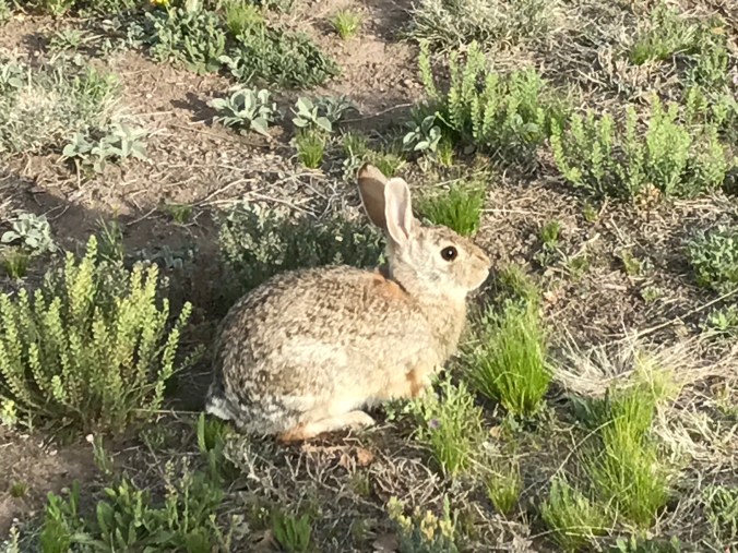 File Apr 10, 10 16 14 AM