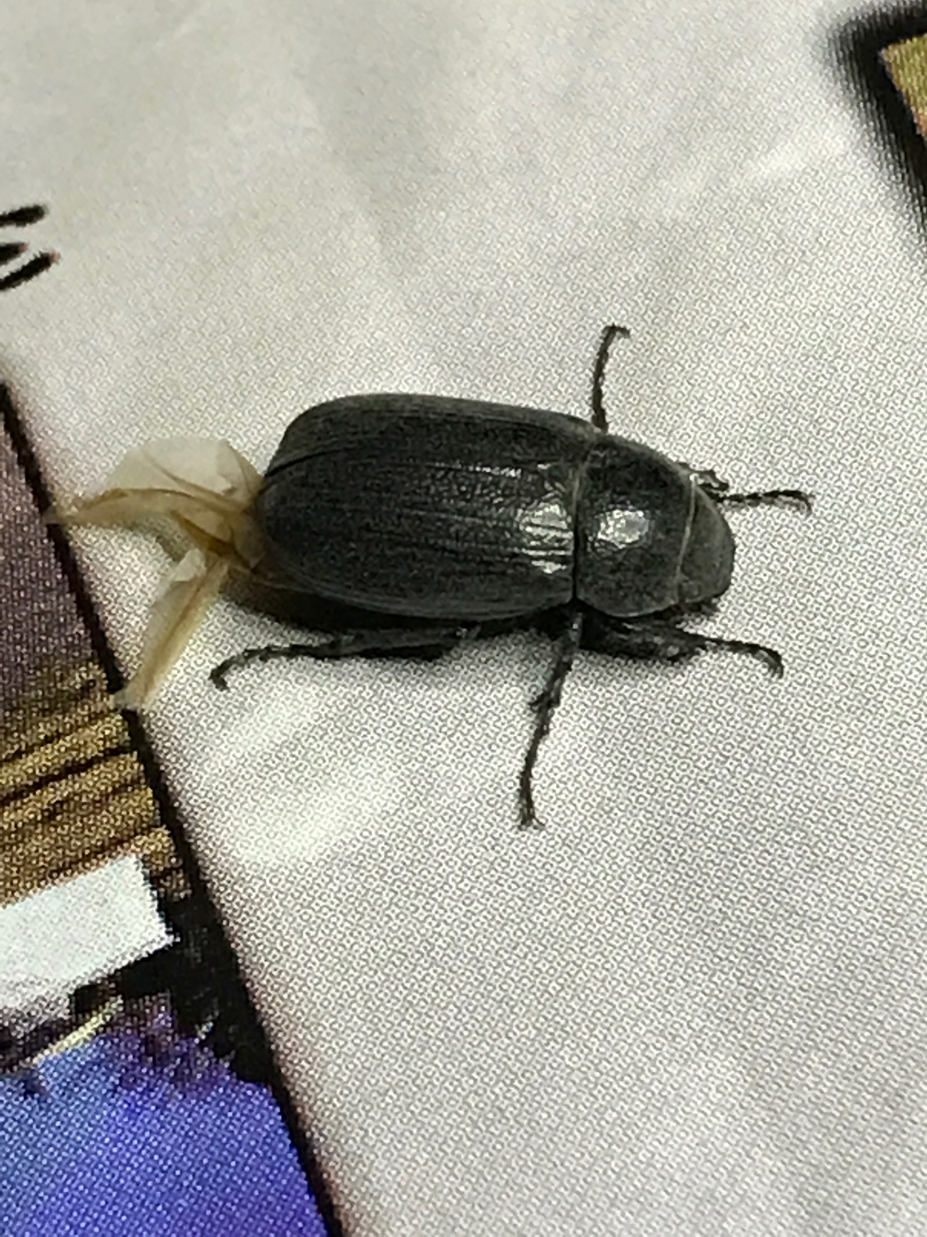 File Apr 12, 8 10 09 AM