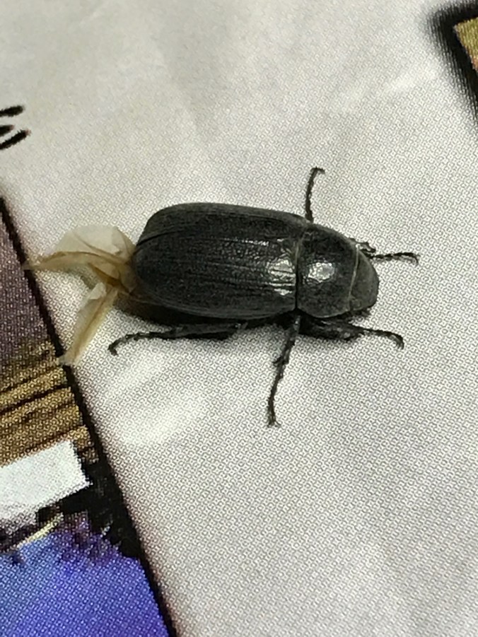 File Apr 12, 8 10 09 AM