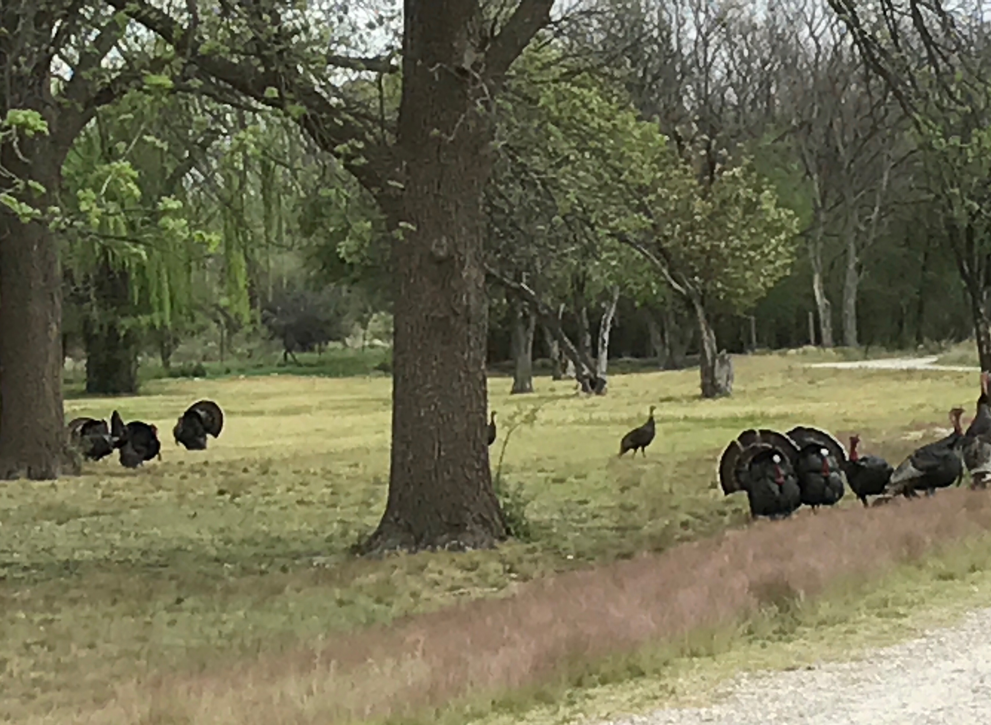 File Apr 12, 8 17 00 AM