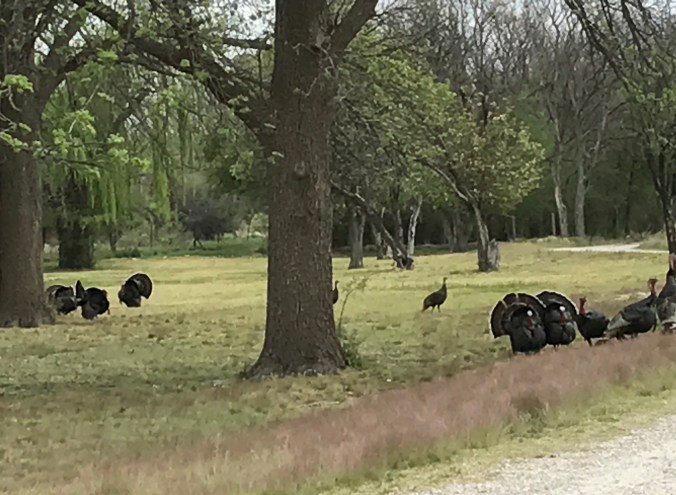 File Apr 12, 8 17 00 AM